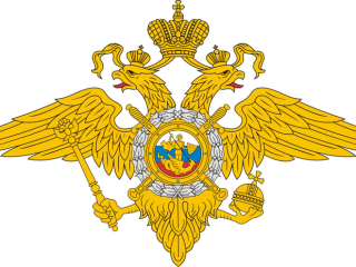 Описание процесса получения справки об отсутствии наличии судимости